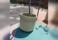 GRC Planter Pots thumbnail 1