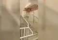 Handrails thumbnail 13
