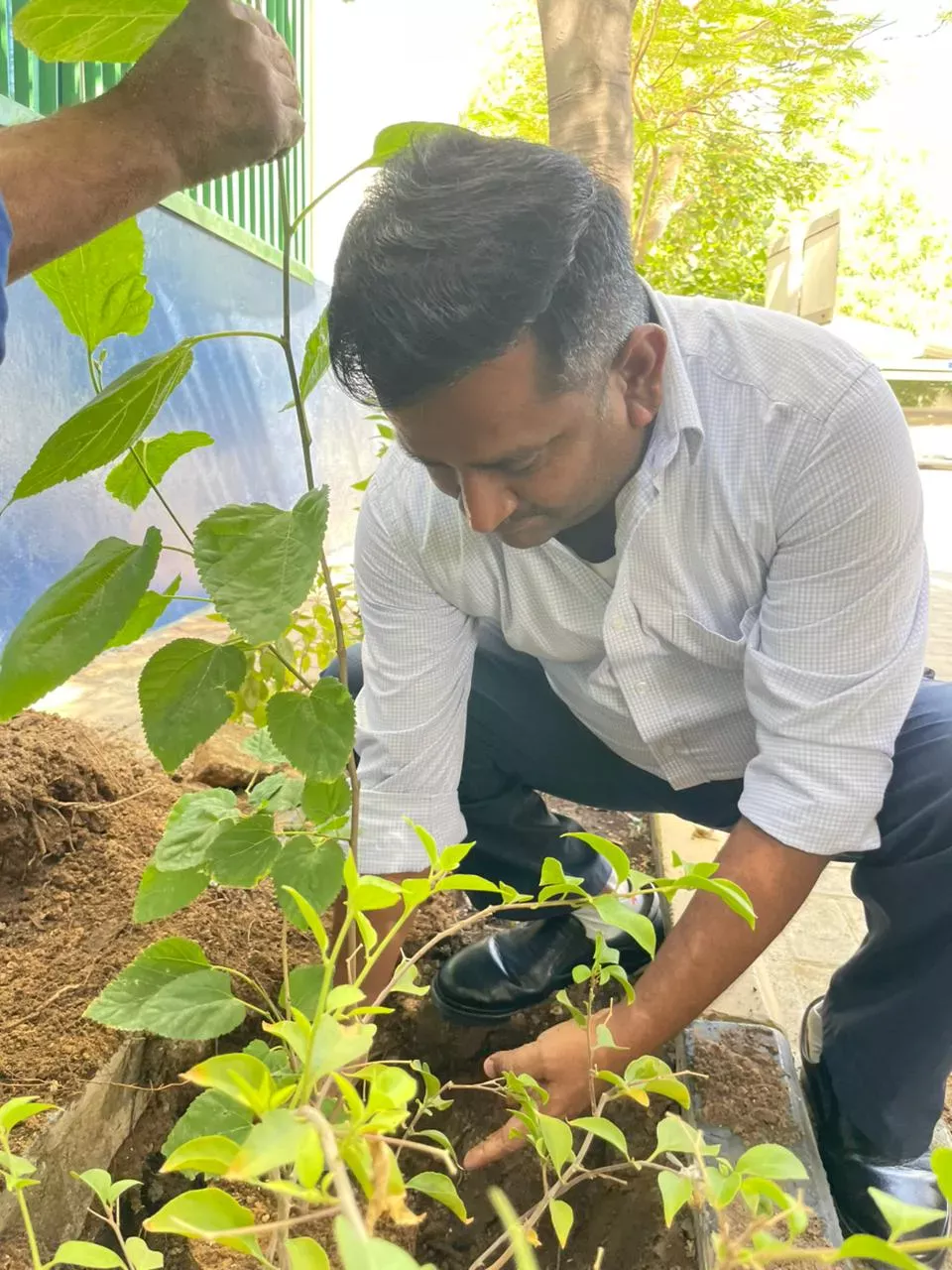 Extra Co employees taking part in tree planting drive