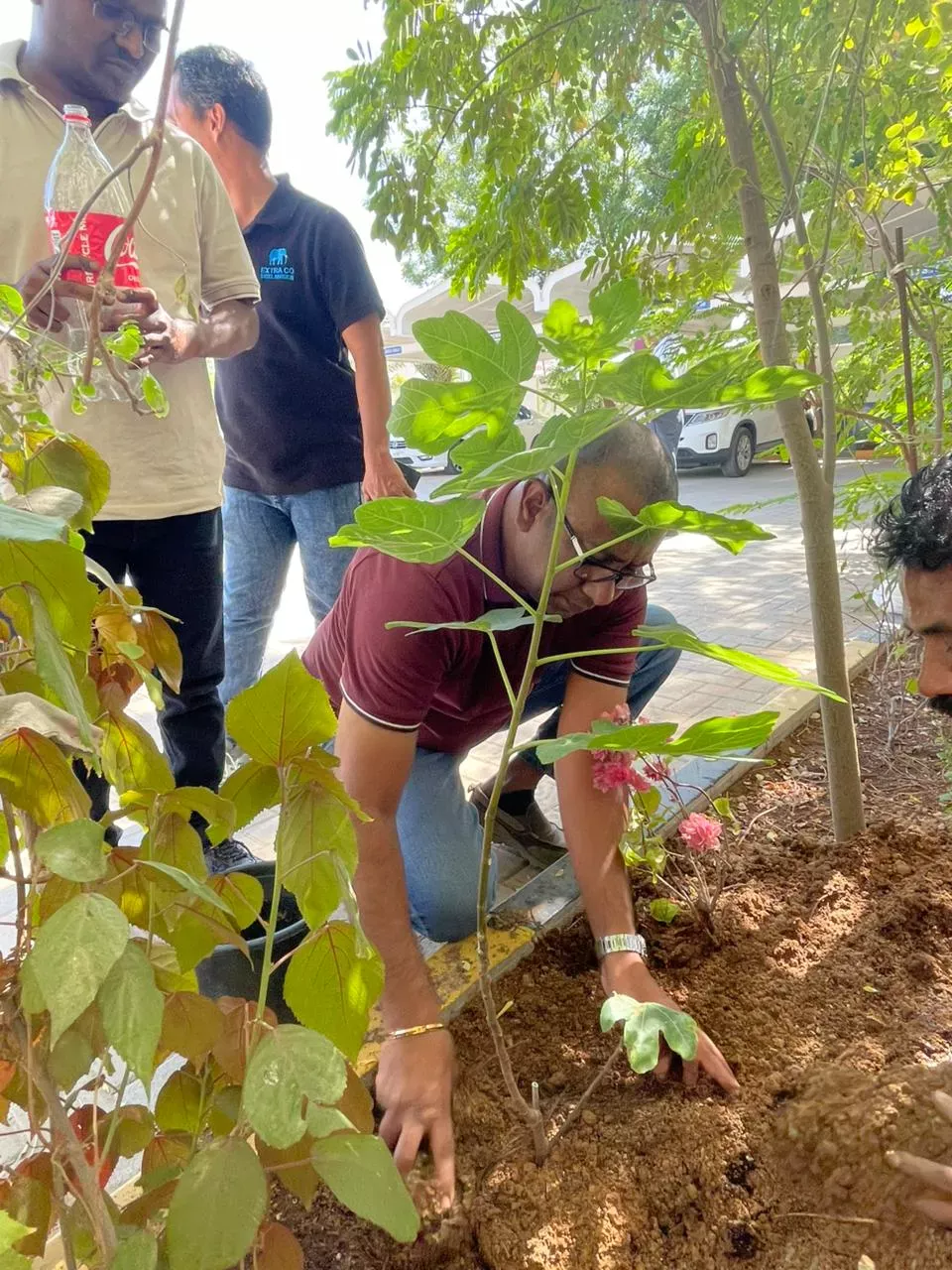 Extra Co team members planting saplings