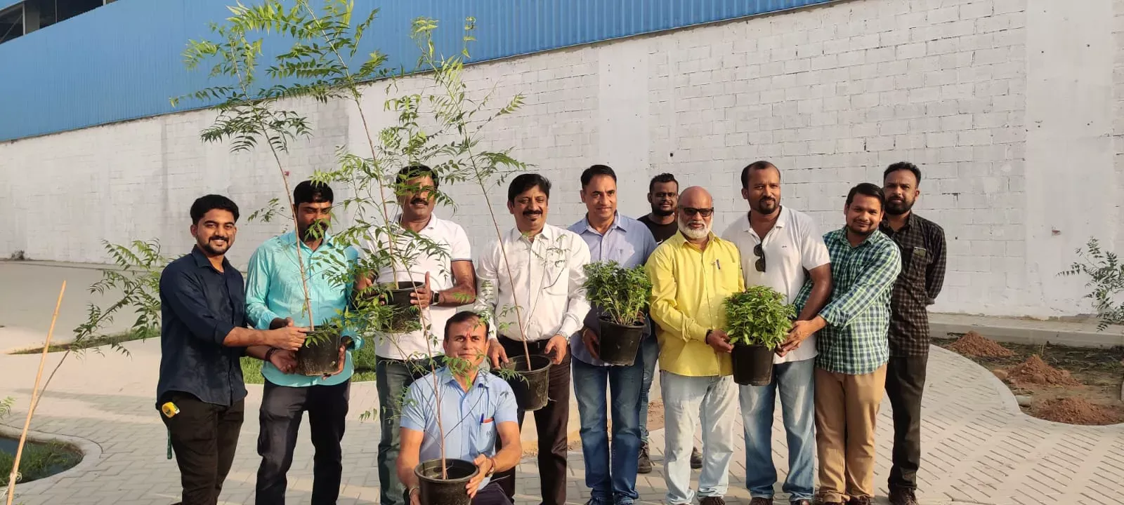 Extra Co team members planting saplings