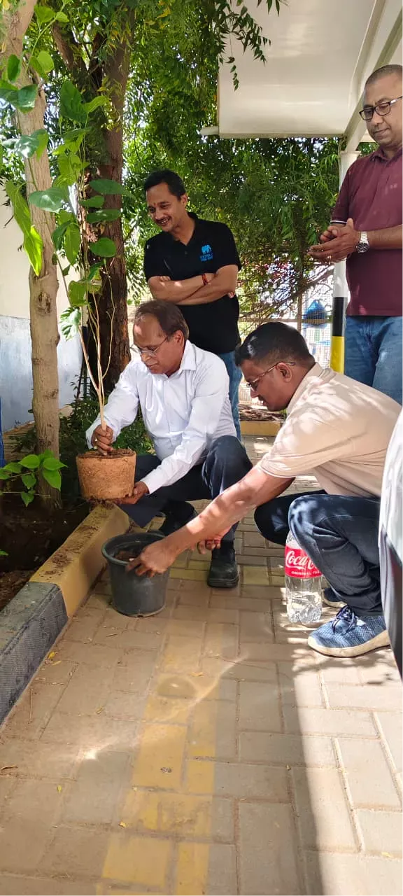 Extra Co team members planting saplings