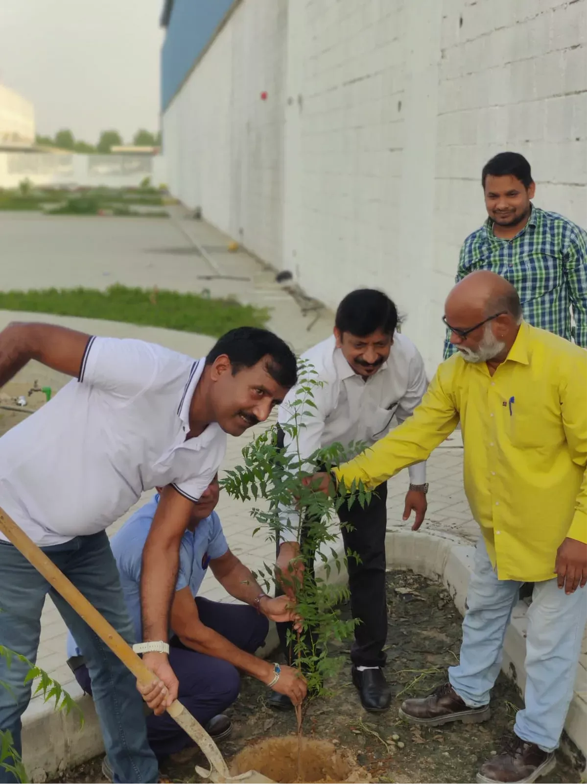 Extra Co team members planting saplings